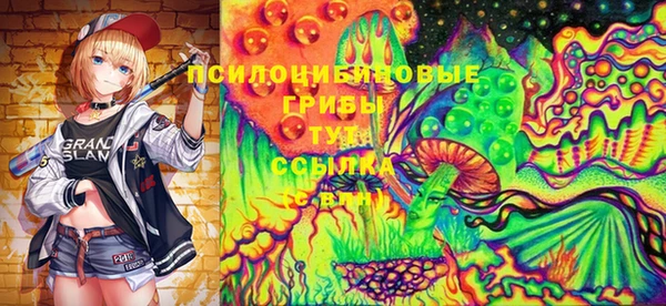 спиды Зеленодольск